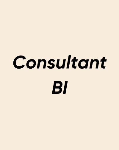 Fiche métier Consultant BI