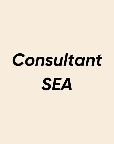 Fiche métier Consultant SEA